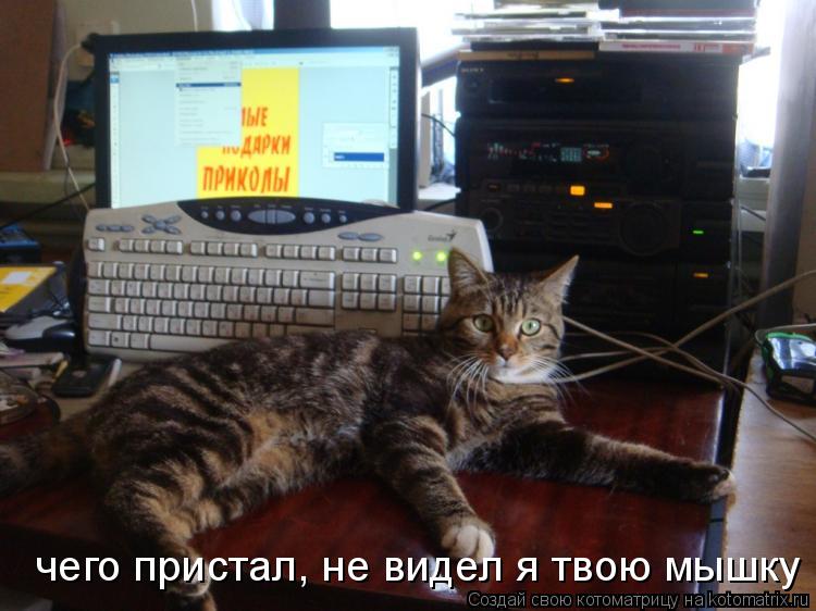 Котоматрица: чего пристал, не видел я твою мышку