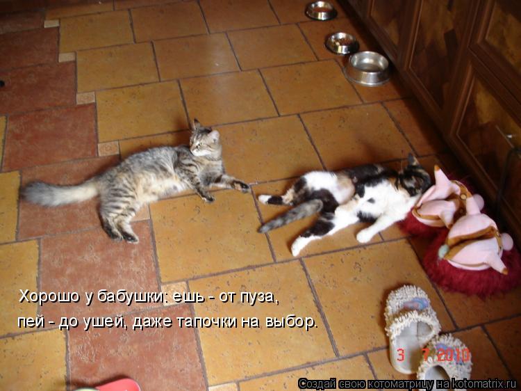 Котоматрица: Хорошо у бабушки: ешь - от пуза,  пей - до ушей, даже тапочки на выбор.
