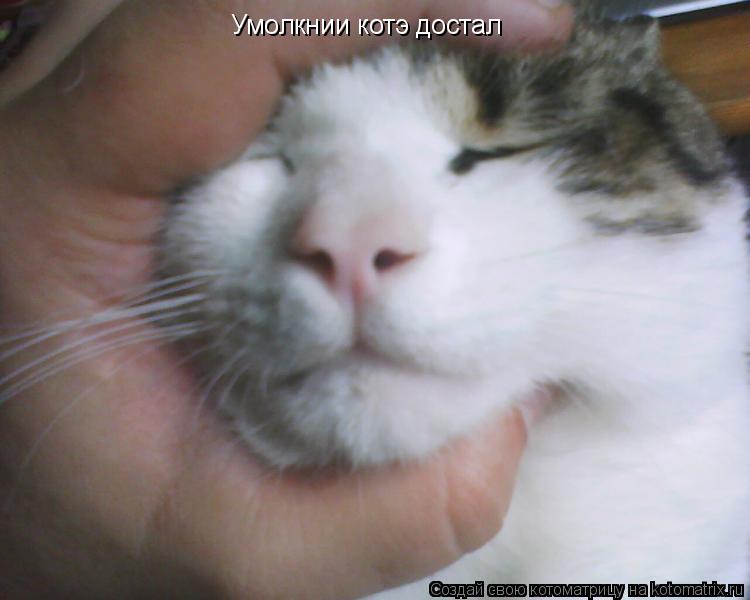 Умолкнии котэ достал... Котоматрица: Умолкнии котэ достал