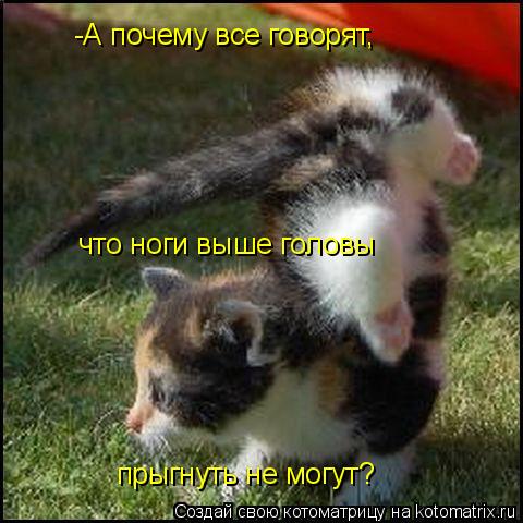 -А почему все говорят, что ноги выше головы прыгнуть не могут?... Котоматрица: -А почему все говорят, что ноги выше головы прыгнуть не могут?