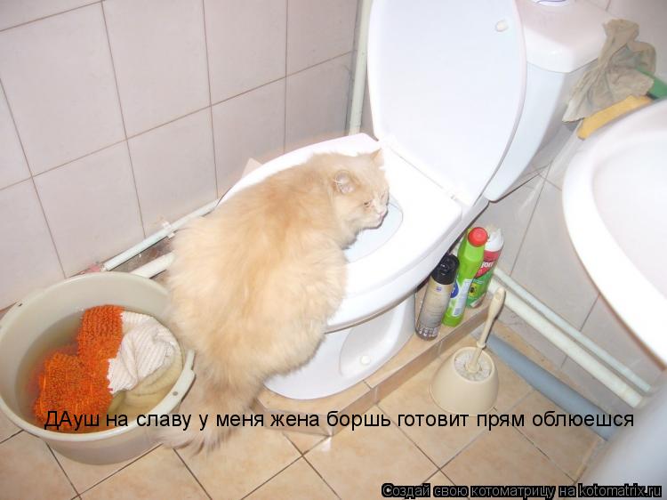 ДАуш на славу у меня жена боршь готовит прям облюешся... Котоматрица: ДАуш на славу у меня жена боршь готовит прям облюешся