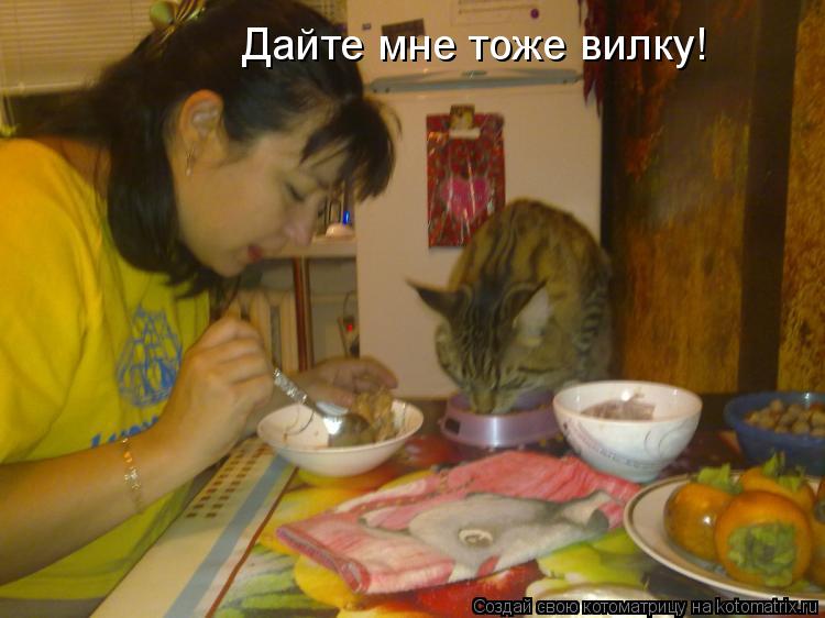 Дайте мне тоже вилку!... Котоматрица: Дайте мне тоже вилку!
