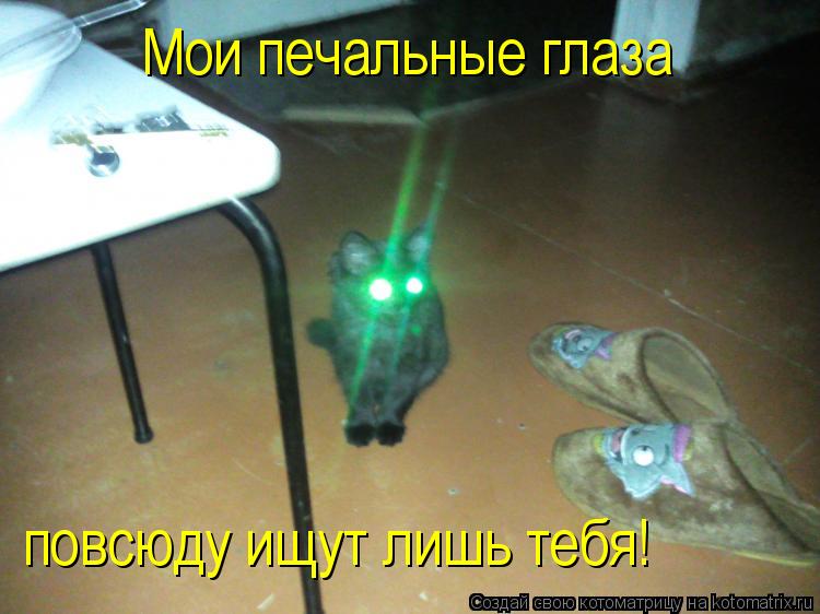 Мои печальные глаза повсюду ищут лишь тебя!... Котоматрица: Мои печальные глаза повсюду ищут лишь тебя!