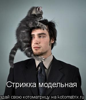 Стрижка модельная... Котоматрица: Стрижка модельная