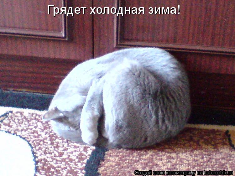 Грядет холодная зима!... Котоматрица: Грядет холодная зима!