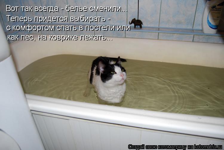 Котоматрица: Вот так всегда - белье сменили... Теперь придется выбирать - как пес, на коврике лежать... с комфортом спать в постели или