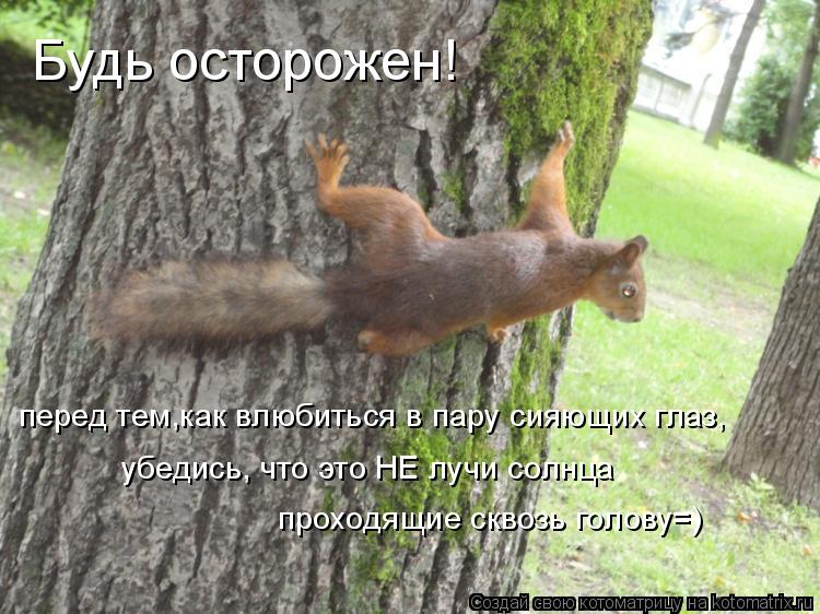 Котоматрица: Будь осторожен! перед тем,как влюбиться в пару сияющих глаз, убедись, что это НЕ лучи солнца проходящие сквозь голову=)