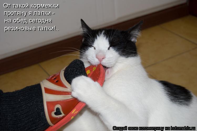 Котоматрица: От такой кормежки протяну я лапки - на обед сегодня резиновые тапки!..