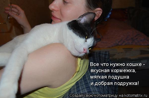 Котоматрица: Все что нужно кошке - вкусная кормежка, мягкая подушка и добрая подружка!