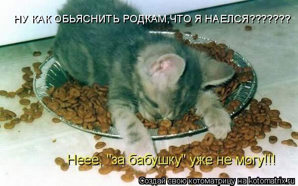 НУ КАК ОБЬЯСНИТЬ РОДКАМ,ЧТО Я НАЕЛСЯ???????... Котоматрица: НУ КАК ОБЬЯСНИТЬ РОДКАМ,ЧТО Я НАЕЛСЯ???????