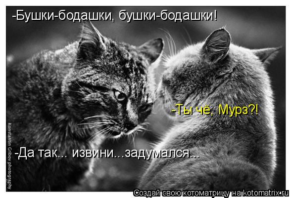 -Бушки-бодашки, бушки-бодашки! -Ты чё, Мурз?! -Да так... извини...задумался...... Котоматрица: -Бушки-бодашки, бушки-бодашки! -Ты чё, Мурз?! -Да так... извини...задумался...