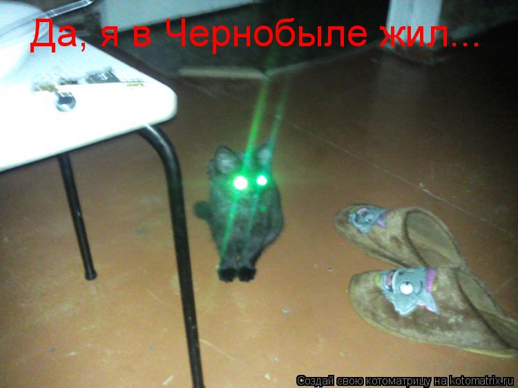 Да, я в Чернобыле жил...... Котоматрица: Да, я в Чернобыле жил...