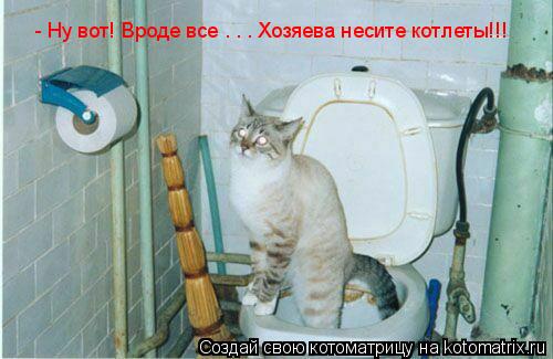 - Ну вот! Вроде все . . . Хозяева несите котлеты!!!... Котоматрица: - Ну вот! Вроде все . . . Хозяева несите котлеты!!!