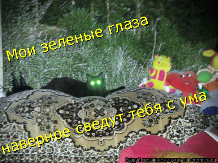 Мои зеленые глаза наверное сведут тебя с ума... Котоматрица: Мои зеленые глаза наверное сведут тебя с ума