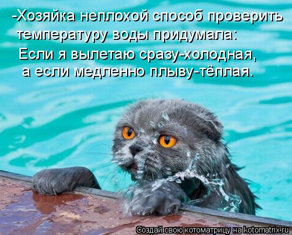 Котоматрица: -Хозяйка неплохой способ проверить температуру воды придумала: Если я вылетаю сразу-холодная, а если медленно плыву-тёплая.