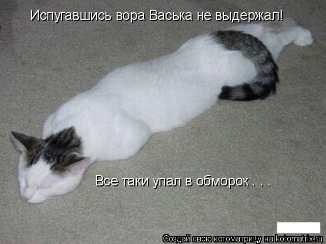 Котоматрица: Испугавшись вора Васька не выдержал! Испугавшись вора Васька не выдержал! Все таки упал в обморок . . .
