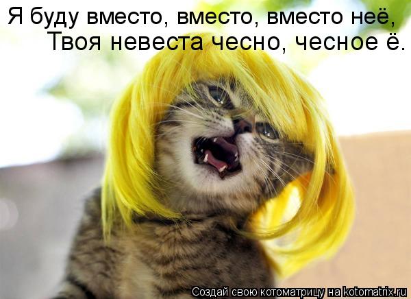 Котоматрица: Я буду вместо, вместо, вместо неё, Твоя невеста чесно, чесное ё.