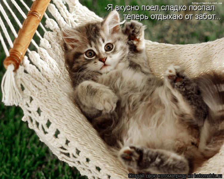 Котоматрица: -Я вкусно поел,сладко поспал теперь отдыхаю от забот...