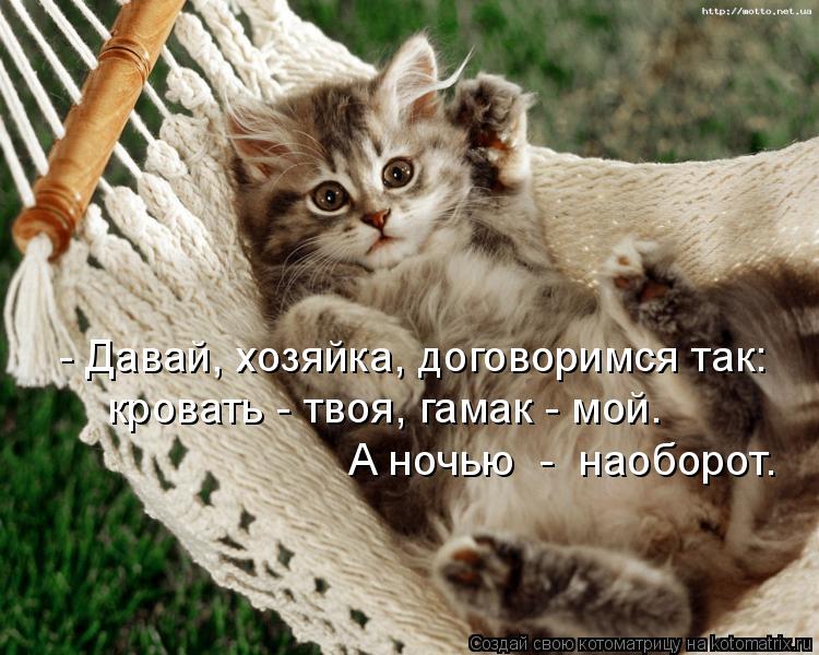 Котоматрица: - Давай, хозяйка, договоримся так: кровать - твоя, гамак - мой. А ночью  -  наоборот.