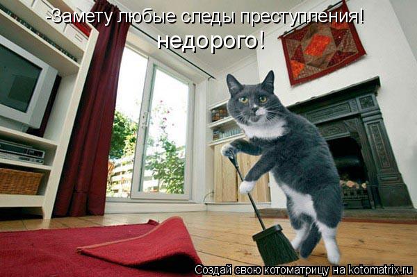 Котоматрица: -Замету любые следы преступления! недорого!