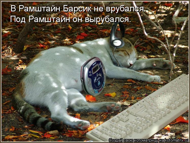 Котоматрица: В Рамштайн Барсик не врубался. Под Рамштайн он вырубался.