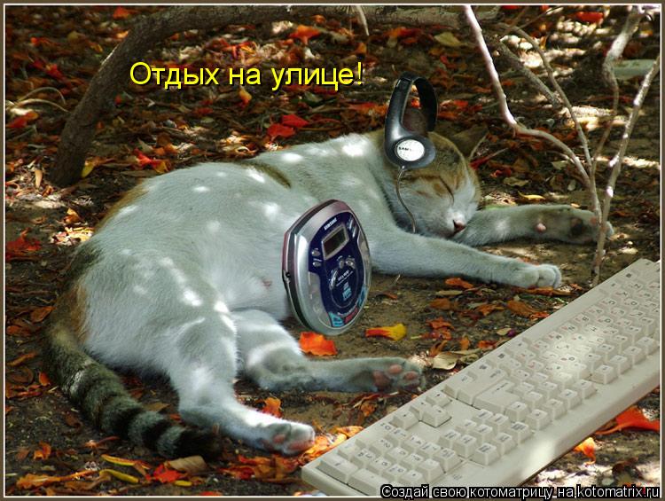Котоматрица: Отдых на улице!