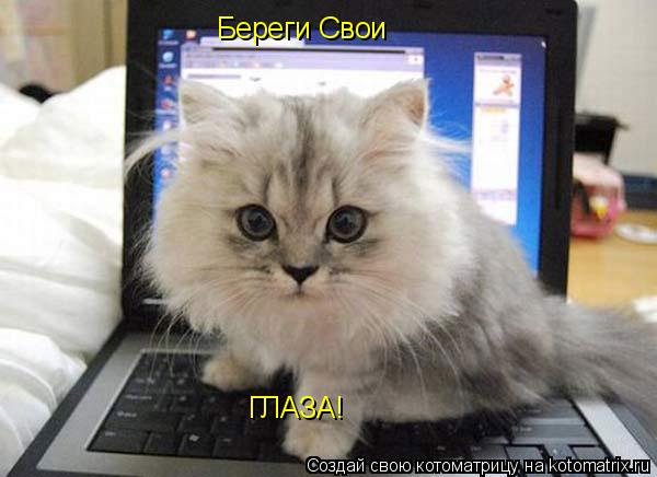 Котоматрица: Береги Свои ГЛАЗА!