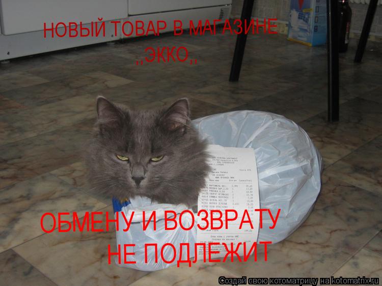 Котоматрица: НОВЫЙ ТОВАР В МАГАЗИНЕ ,,ЭККО,, ОБМЕНУ И ВОЗВРАТУ НЕ ПОДЛЕЖИТ