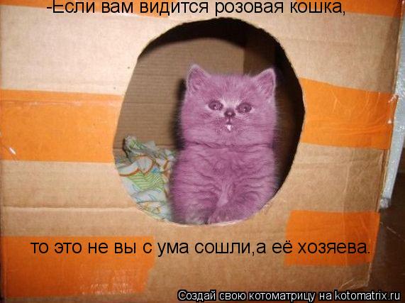 Котоматрица: -Если вам видится розовая кошка, то это не вы с ума сошли,а её хозяева.