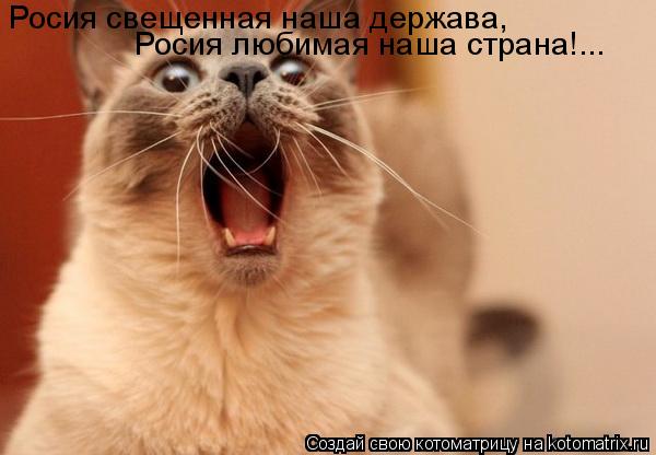Котоматрица: Росия свещенная наша держава, Росия любимая наша страна!...