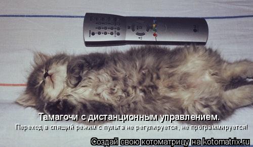 Котоматрица: Тамагочи с дистанционным управлением. Переход в спящий режим с пульта не регулируется, не программируется!