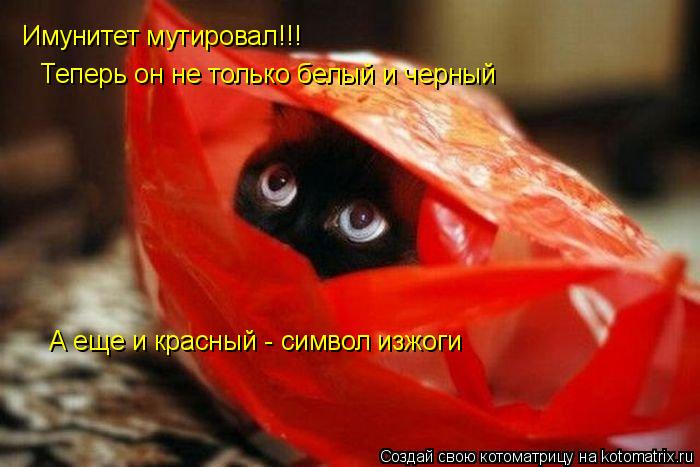 Котоматрица: Имунитет мутировал!!! Теперь он не только белый и черный А еще и красный - символ изжоги