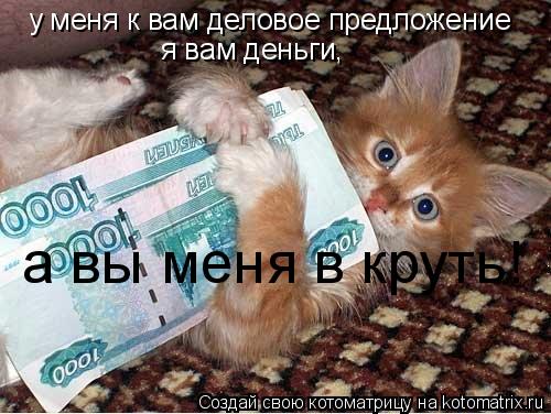Котоматрица: у меня к вам деловое предложение я вам деньги, а вы меня в круть!