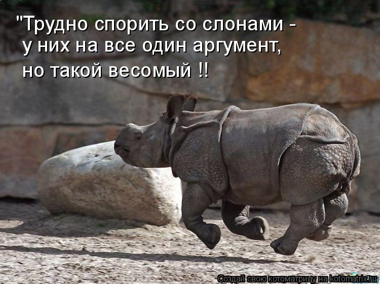 Котоматрица: "Трудно спорить со слонами -  у них на все один аргумент, но такой весомый !!