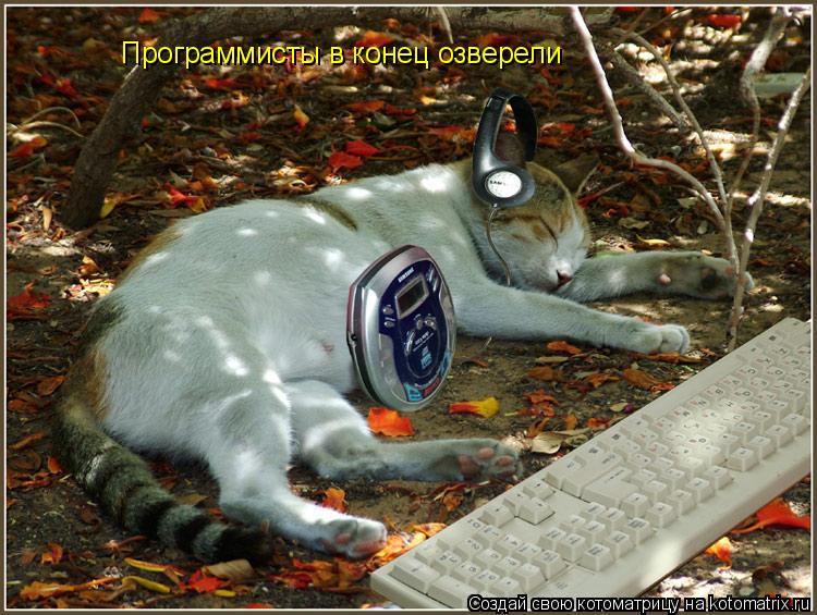 Котоматрица: Программисты в конец озверели