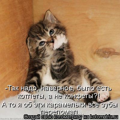 Котоматрица: -Так надо, наверное, было есть  котлеты, а не конфеты?! А то я об эти карамельки все зубы переломал...