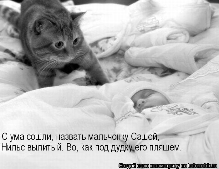 С ума сошли, назвать мальчонку Сашей, Нильс вылитый. Во, как под дудку его пляшем.... Котоматрица: С ума сошли, назвать мальчонку Сашей, Нильс вылитый. Во, как под дудку его пляшем.