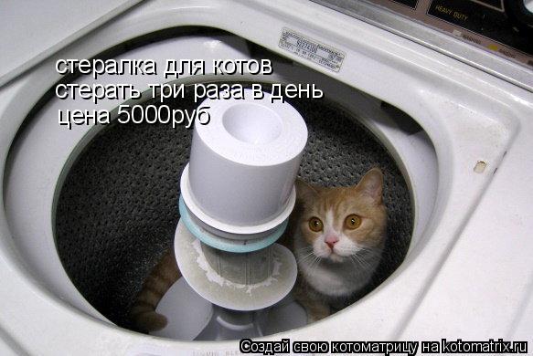 Котоматрица: стералка для котов  стерать три раза в день цена 5000руб