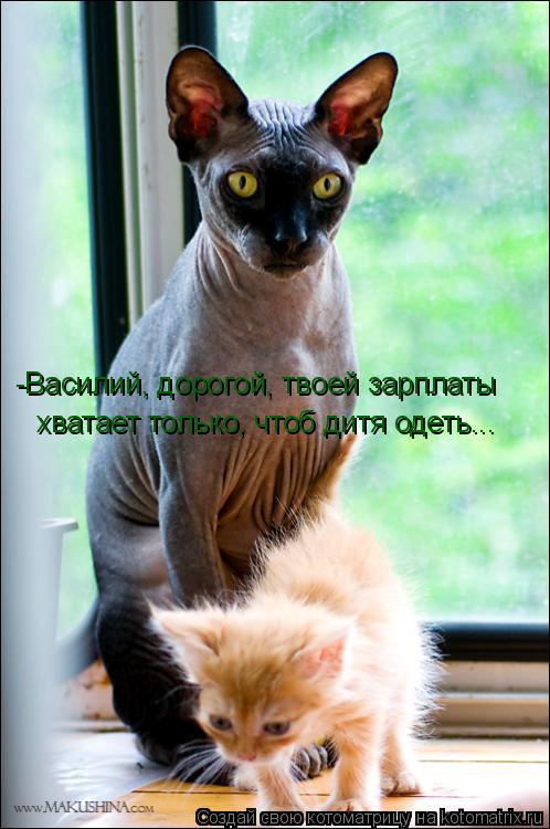Котоматрица: -Василий, дорогой, твоей зарплаты  хватает только, чтоб дитя одеть...