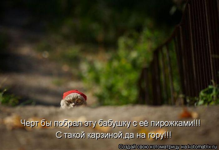 Котоматрица: Черт бы побрал эту бабушку с её пирожками!!! С такой карзиной,да на гору!!!