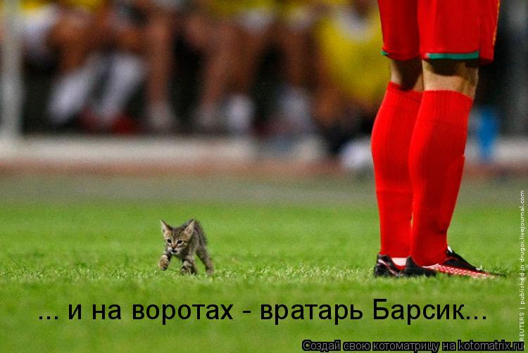 Котоматрица: ... и на воротах - вратарь Барсик...