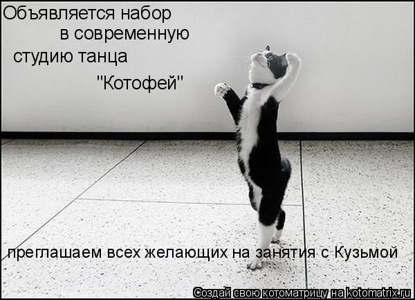 Котоматрица: Объявляется набор в современную  студию танца "Котофей" преглашаем всех желающих на занятия с Кузьмой