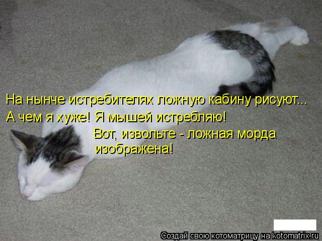 Котоматрица: На нынче истребителях ложную кабину рисуют... А чем я хуже! Я мышей истребляю! Вот, извольте - ложная морда  изображена!