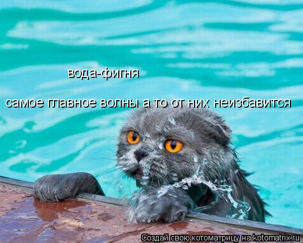 Котоматрица: вода-фигня самое главное волны а то от них неизбавится