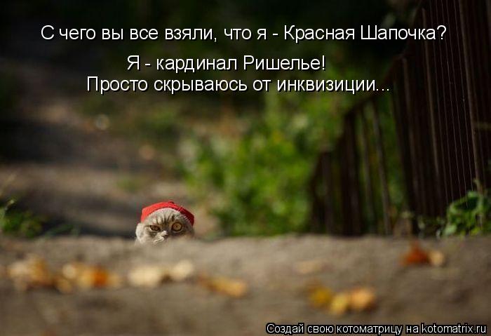 Котоматрица: С чего вы все взяли, что я - Красная Шапочка? Я - кардинал Ришелье! Просто скрываюсь от инквизиции...