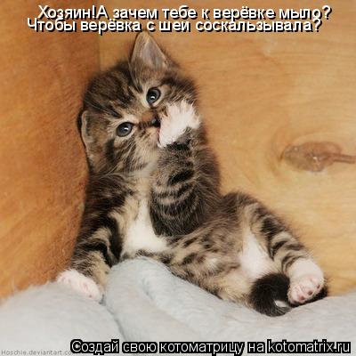 Хозяин!А зачем тебе к верёвке мыло? Чтобы верёвка с шеи соскальзывала?... Котоматрица: Хозяин!А зачем тебе к верёвке мыло? Чтобы верёвка с шеи соскальзывала?