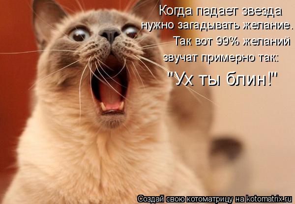Котоматрица: Когда падает звезда нужно загадывать желание. Так вот 99% желаний звучат примерно так: "Ух ты блин!"