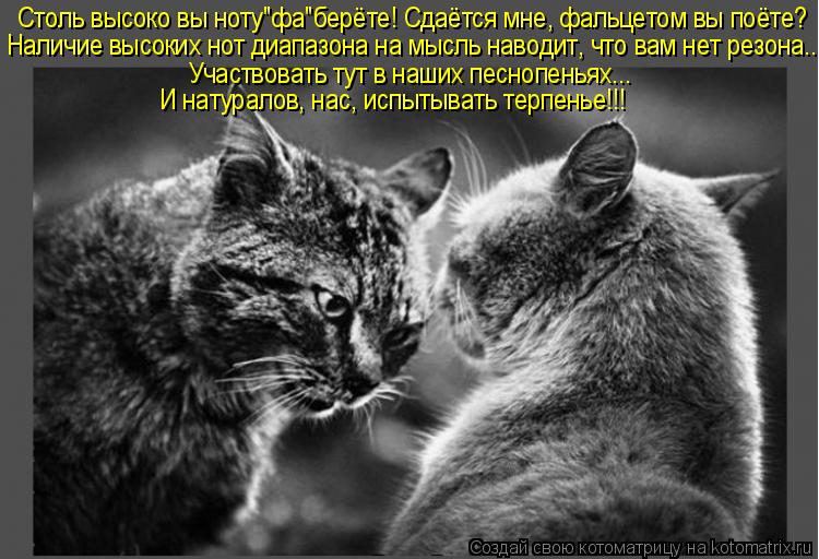 Котоматрица: Столь высоко вы ноту"фа"берёте! Сдаётся мне, фальцетом вы поёте? Наличие высоких нот диапазона на мысль наводит, что вам нет резона... Участво