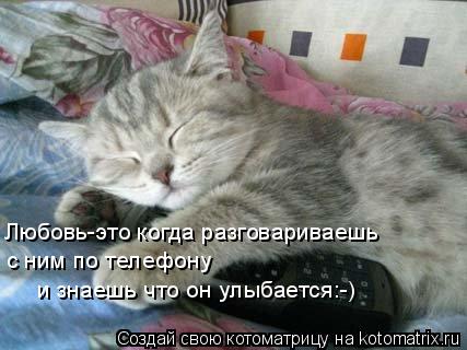 Котоматрица: Любовь-это когда разговариваешь с ним по телефону и знаешь что он улыбается:-)