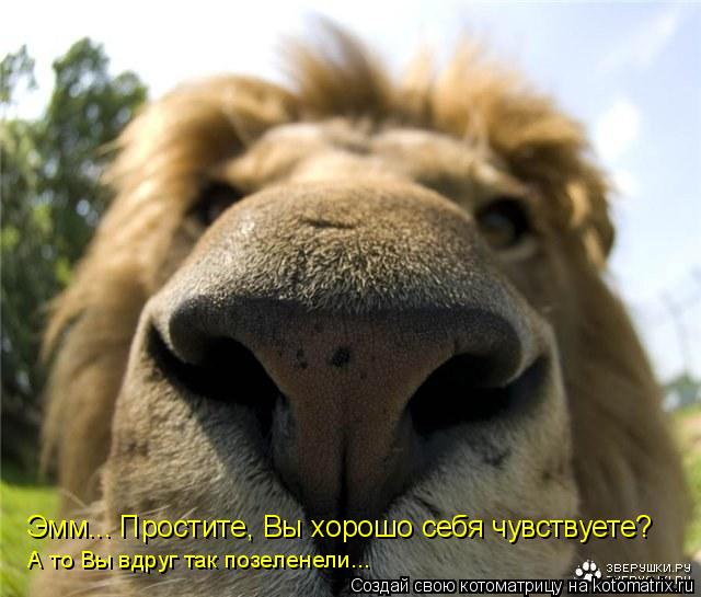 Котоматрица: Эмм... Простите, Вы хорошо себя чувствуете? А то Вы вдруг так позеленели...